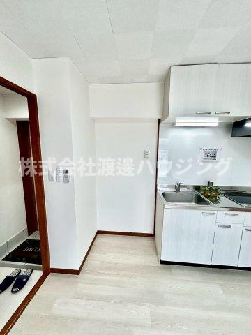 ハイムタケダT-10のその他