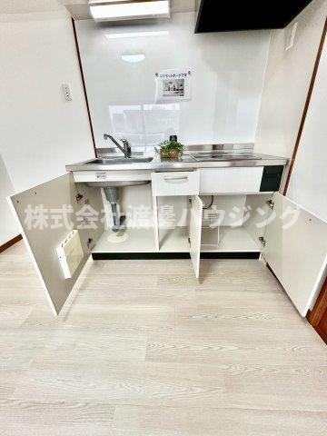 ハイムタケダT-10のキッチン|キッチン下収納