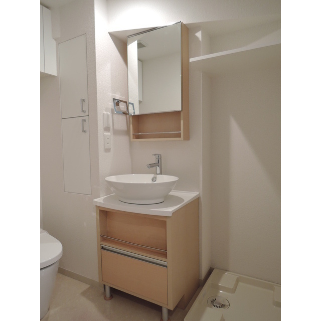 豊島区目白５丁目の賃貸マンションの洗面所