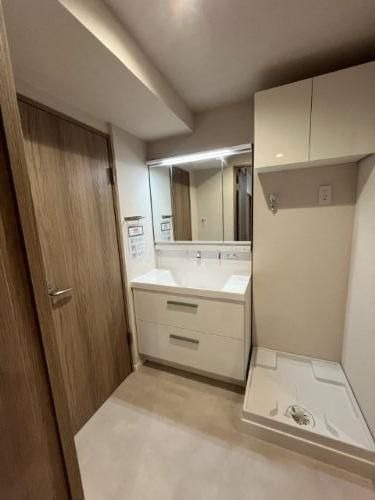 【独立洗面台】 | エクセレンス荒江 | 三面鏡裏、洗面台下部、洗濯機置場上部など収納スペースがたっぷり設けられています