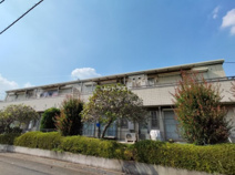 ヴォラトスCの画像