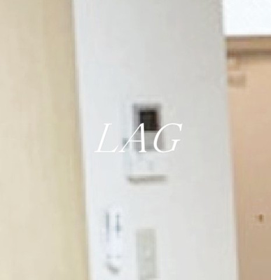 【セキュリティ】 | カーサヴィアンカ | モニター付インターホンです。