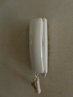 【セキュリティ】 | パレスさくら