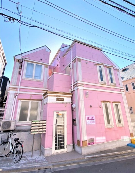 プラムフェリス