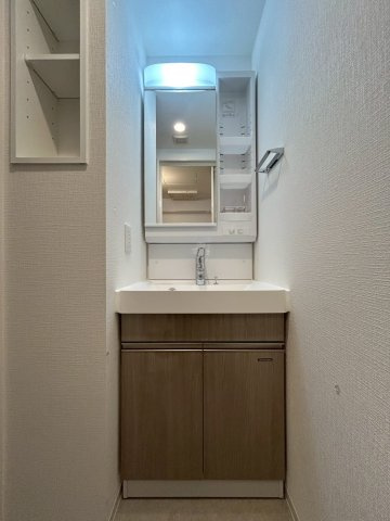 Metrosa谷町六丁目Northの洗面所