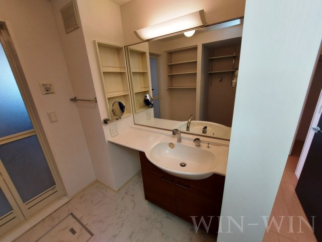 アゼリア B棟の独立洗面台