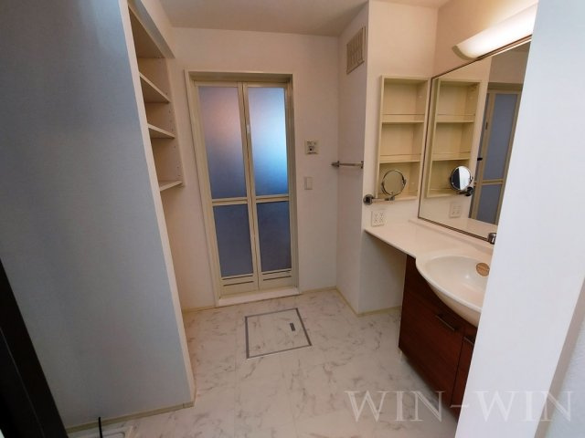 アゼリア B棟の洗面所