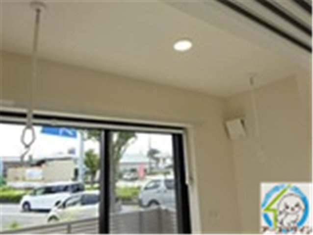 カモミールのその他|イメージ写真