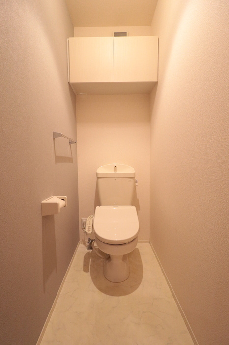 Ｄ-Ｒｏｏｍ・ＳＫ　Ⅳのトイレ