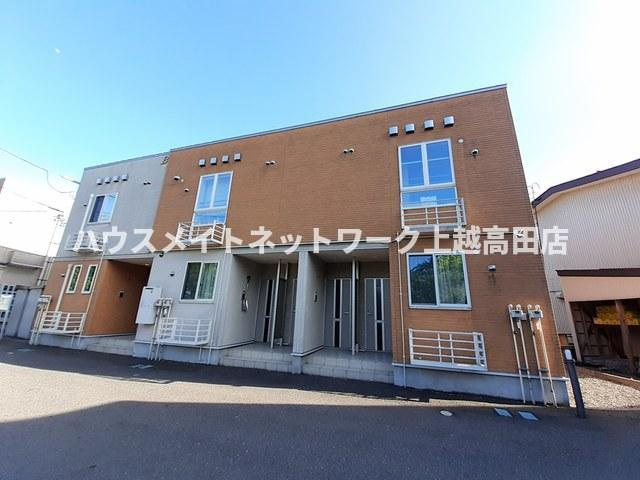 パインバードＢ