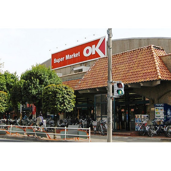 カサデオロ水岡の周辺|スーパー「オーケー国分寺店まで425ｍ」