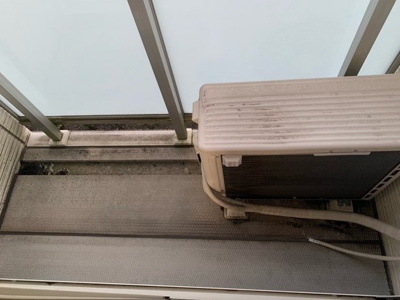 【その他】 | ミランダサンシャインＭＩ