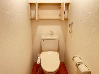 グランディール・ソフィアのトイレ|トイレ収納