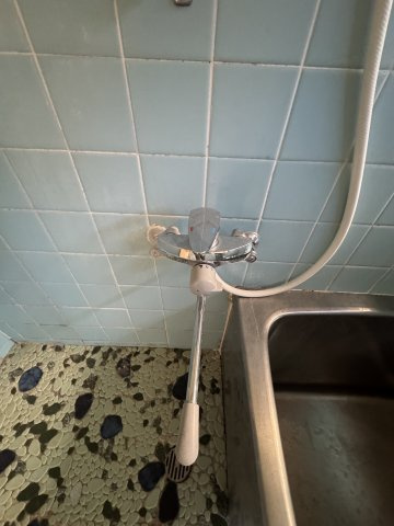 園田邸の洗面所