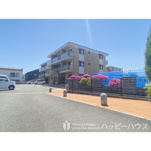 エレガンシアの画像