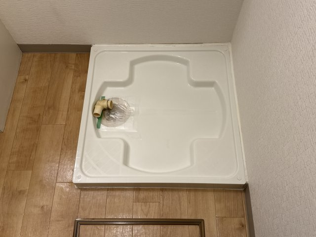 セピア　コンフォースのその他