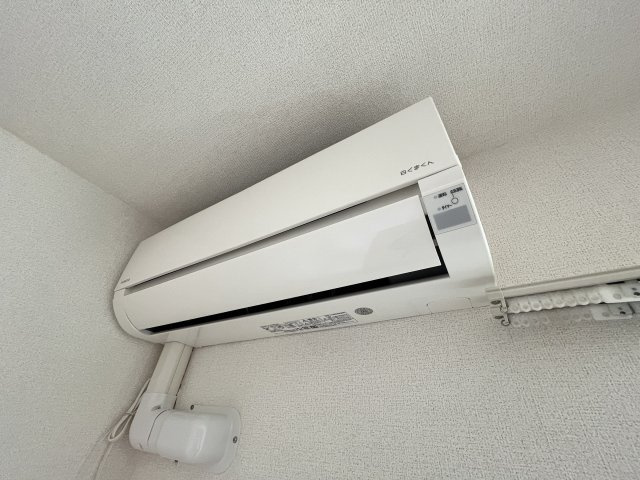 ヴァイオレットの内装