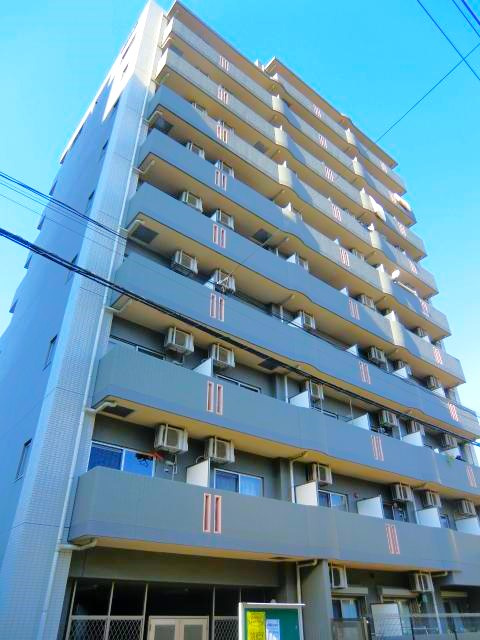 ホタカリュミエール・イワタ