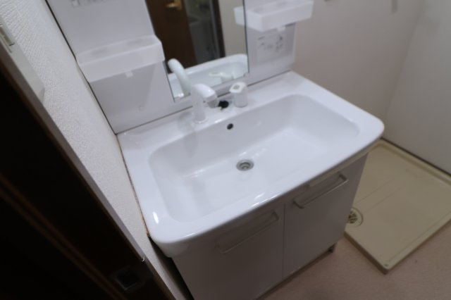 ドミールカメリアの洗面所