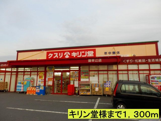 【周辺】 | ハイツ柿の実Ⅱ | キリン堂様まで1300m