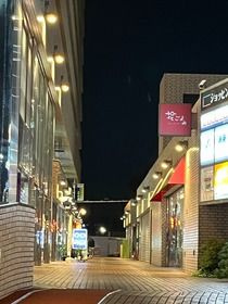  | ＰＡＲＫ　ＭＯＤＥＲＮ　つつじヶ丘