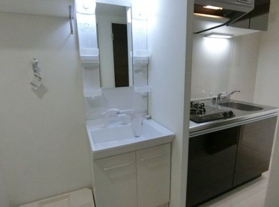 ルミエール赤羽の洗面所