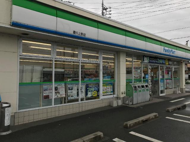 サン　フォレスタの周辺|ファミリーマート豊川上野店まで437ｍ