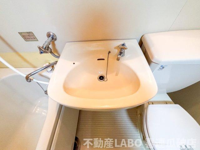 シャトー背戸口の洗面所