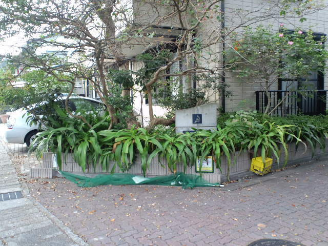 ＯＦＦＳＨＯＲＥのエントランス|エントランスアプローチ