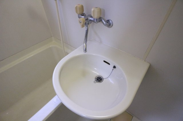 プチパレスの洗面所