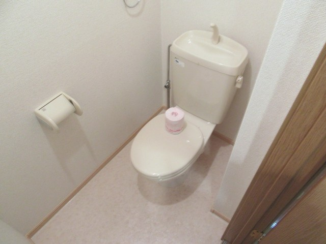 リブェール宝塚Ⅱのトイレ