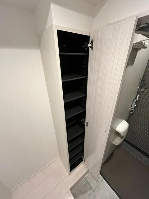 ハーモニーテラス三園Ⅳの玄関