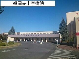 コクーン・カナサの周辺|盛岡赤十字病院まで2200m