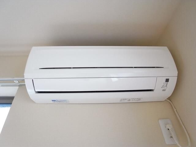 デルフィーノのその他