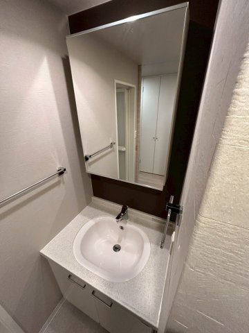 大阪市西区立売堀２丁目の賃貸マンションの洗面所