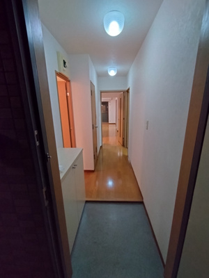 【玄関】 | スターブルマンション春日部 | 他部屋の写真です