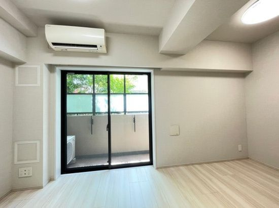 DIPS墨田RIVERSIDEのバルコニー