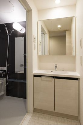 DIPS墨田RIVERSIDEの洗面所