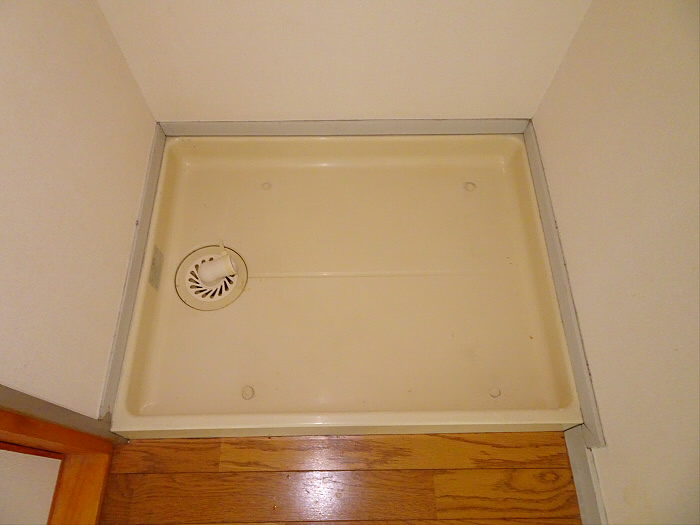 ドルミカワサキのその他