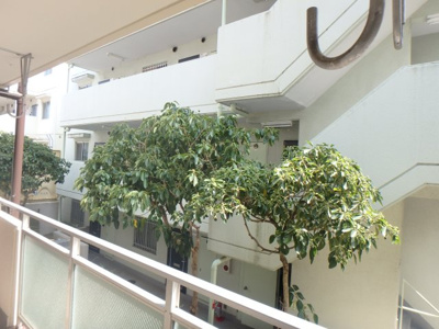 【展望】 | ロイヤルメゾン甲子園口Ⅲ | 眺望