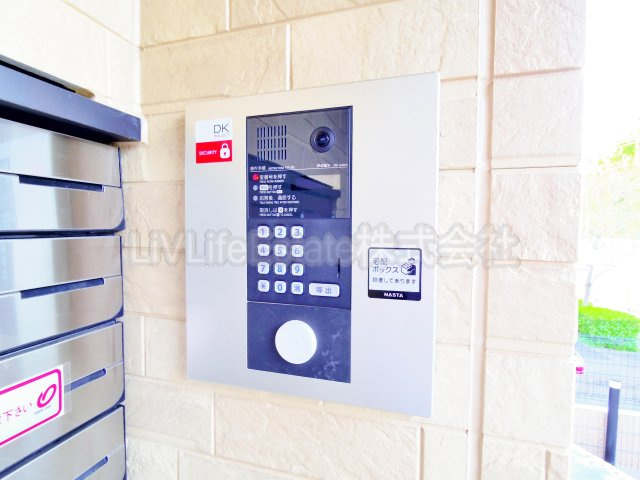 ティーフレイム　