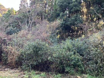 【外観】 | 天辰町字竹山 土地