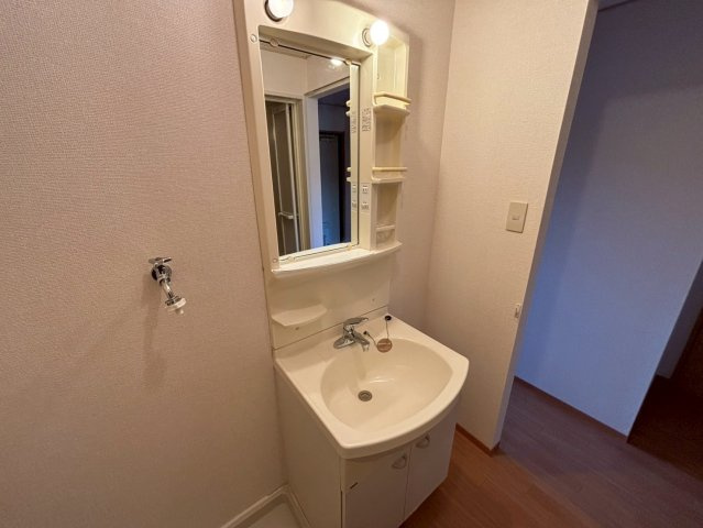 グレイスフル土山東の洗面所