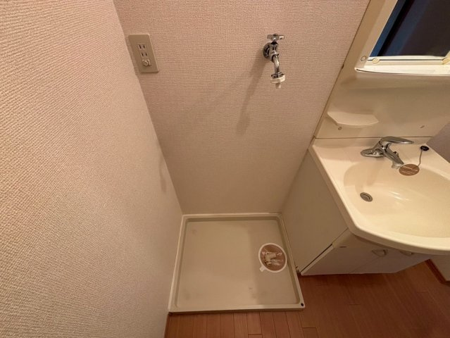 グレイスフル土山東の洗面所