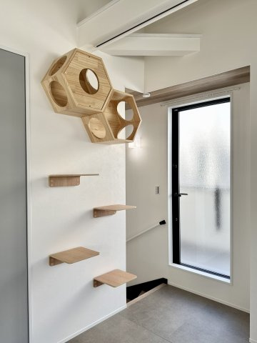 CS GARDEN 吉祥寺の設備|キャットウォーク