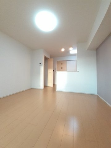 カサフェリスＢのその他