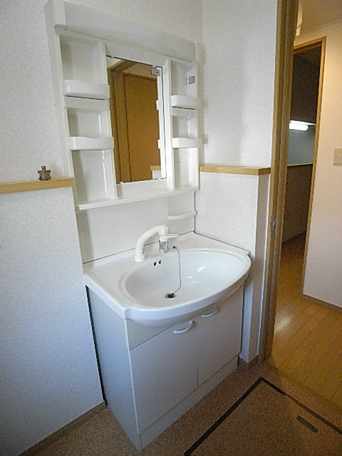 ザ・コートプログレスＤの洗面所