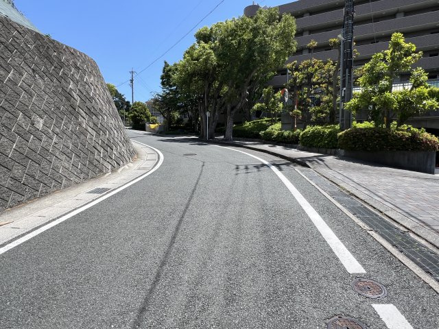 エムズ鴨江の周辺|南側から北側に向かって撮影した前面道路です。