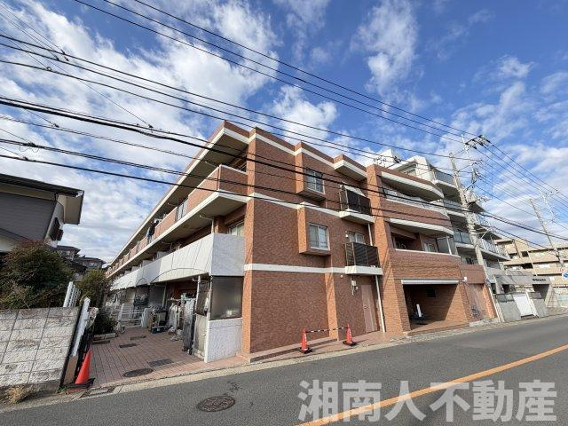 ネクシア藤沢善行