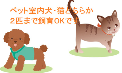 【その他】 | エストレーヤ